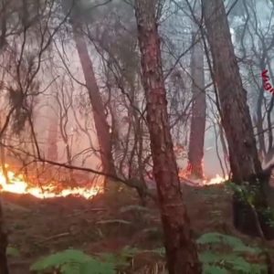 Italian firefighters respond to Tuscany wildfires
