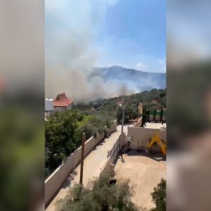 Israeli forces set olive trees on fire in occupied West Bank