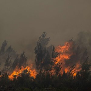 French wildfires trigger mass evacuations around Bordeaux