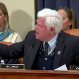 House Dem goes on screaming rant against Elon Musk, DOGE: ‘Shame!’