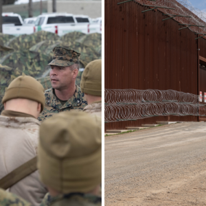 Trump putting troops on border was game changer, San Diego sector chief says: ‘Force multiplier’