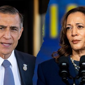 Border district Republican invites Kamala Harris to view crisis firsthand: ‘Sticks out like a sore thumb’