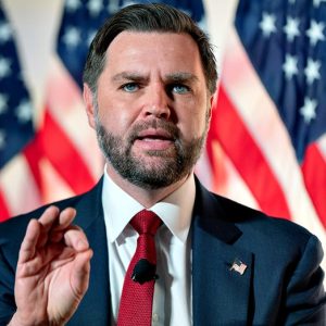 Vice President Vance says migrant communities show ‘clear pattern’ in federal fraud as investigations widen