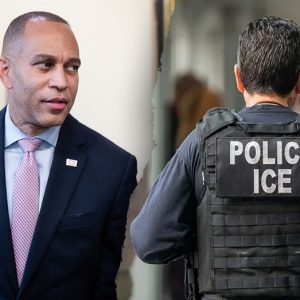 House GOP rips ‘insane’ Democrat demand to ‘unmask’ ICE agents as DHS shutdown looms