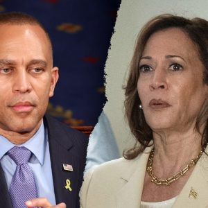 Jeffries says Republicans are ‘making up’ Kamala Harris border czar title