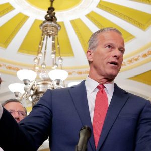 ‘Baby steps’: Leader Thune details his work to corral Republicans behind Trump’s legislative vision