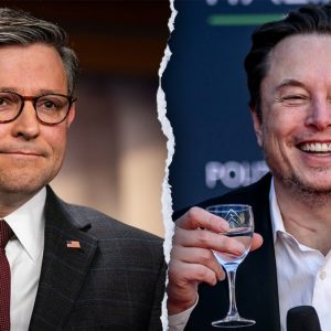 Fox News Politics: Musing About a Speaker Musk