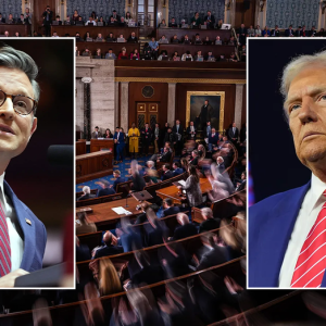Trump cheers Johnson winning speaker vote: ‘America is back’