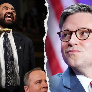 Social media erupts after House Dem Al Green interrupted Trump’s address: ‘Embarrassing themselves’