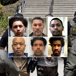 FIRST ON FOX: DHS points to ‘common sense’ reason for collapsing crime: ‘No surprise’