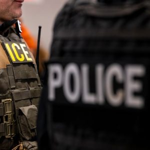 ICE and DOGE seek sensitive data in crackdown on illegal immigration, waste: report