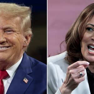 In hyperpartisan environment, MSNBC drawing fire for anti-Trump, pro-Harris programming