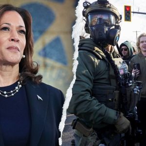 Harris praises Minneapolis resistance to immigration enforcement as ‘beautiful example’ for country