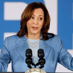 New poll reveals what Democrats think of Harris as president