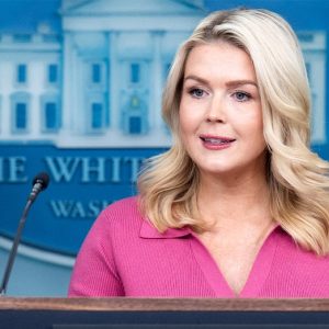 Leavitt flips script on media for balking at Fulton election probe after years of promoting Russia claims