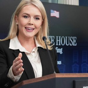 White House: Dems have ‘never been more radical, out of touch’ after voting against ‘big, beautiful bill’
