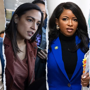 WATCH: Dems dodge on calling Tesla attacks acts of ‘domestic terrorism’