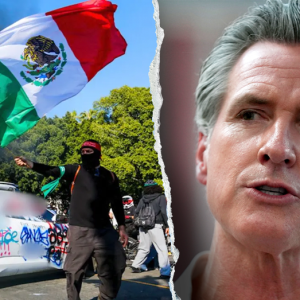 Newsom office dismisses crime fears, defends sanctuary policies amid surge in violence: ‘Fake news’