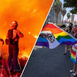 LA County cut fire budget while spending heavily on DEI, woke items: ‘Midnight Stroll Transgender Cafe’