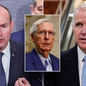 Hard-line GOP effort to decentralize Senate leader authority dashed by McConnell ally