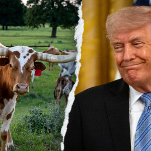 Trump roasts Dem candidate as unelectable for cardinal sin in Texas