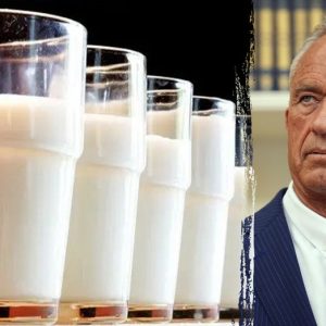 Whole milk makes a comeback in new MAHA children’s health strategy