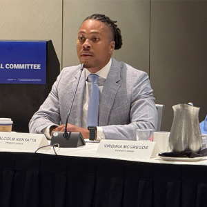 Top DNC official demands Dems be ‘more aggressive,’ compares Trump admin to popular carjacking video game