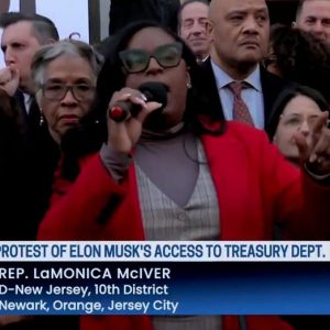 Democratic lawmakers slam Elon Musk’s access to Treasury Department: ‘We are at war’