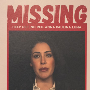 Florida Dems stage town halls in GOP districts featuring ‘missing’ posters of their colleagues