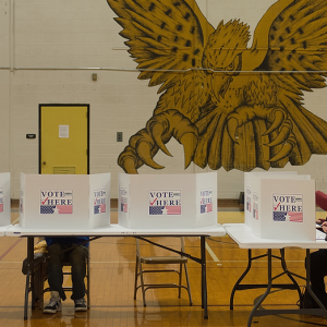 ‘Continued harassment’: Lawsuit to ban feds from polling sites filed by Missouri Republicans