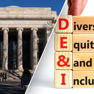 State lawmakers, companies prepare to push back against DEI, ‘woke’ initiatives: experts