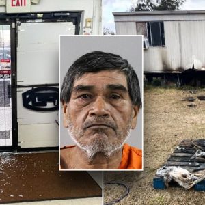 Illegal immigrant in Florida charged with arson, felony criminal mischief, sheriff says