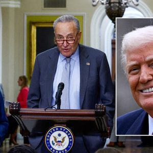 Dems demand Trump resume cash flow as they finally get leverage in race to prevent shutdown