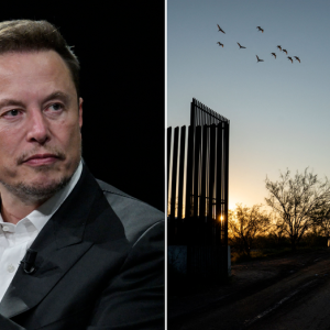 DOGE chief Musk bashes massive government spending on illegal immigrants: ‘Boggles the mind!’