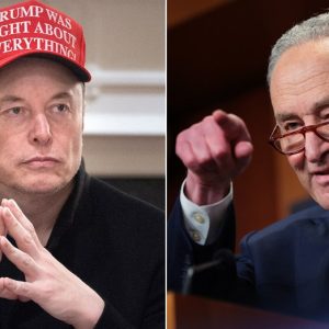 Elon Musk scraps with Chuck Schumer, suggesting the senator profits from government fraud