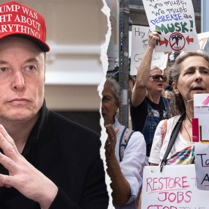 ‘Astroturf’: Critics speculate Tesla protests are not a grassroots movement, but carefully organized campaign