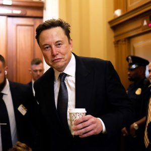 ‘We’re going to gut the fish’: Republicans give details from closed-door meetings with DOGE’s Musk, Ramaswamy