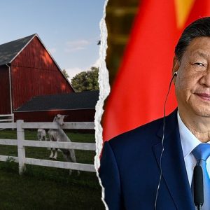 Lawmakers probe National FFA over Chinese Communist Party ties and DEI programs