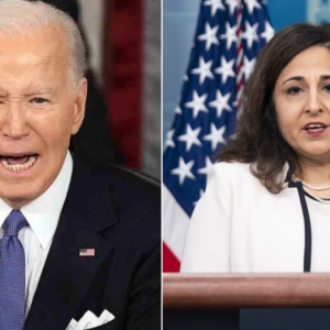 Who is Neera Tanden? The controversial Dem operative who testified on Biden’s mental acuity
