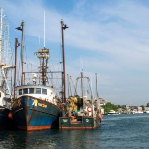 Trump vows to ‘unleash’ commercial fishing off New England, reversing Obama-era Atlantic restrictions