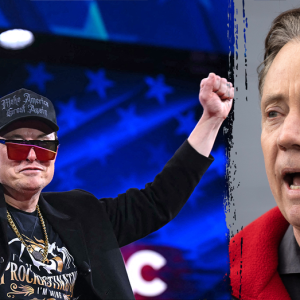 ‘Not American’: Dem governors lash out at Elon Musk’s ‘cruel’ DOGE efforts
