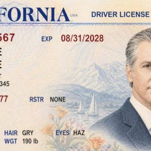 Newsom mocks Trump’s limited-edition passport with fake California driver’s license featuring gov’s portrait