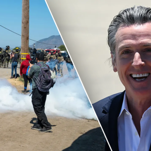 Newsom donor’s cannabis farm under federal investigation for ‘child labor violations’