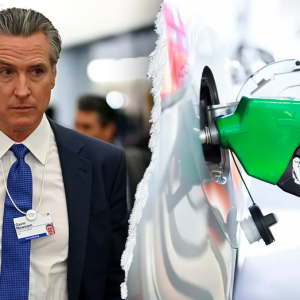 Newsom knocked for ‘insane’ California gas prices after blaming Trump for rising costs