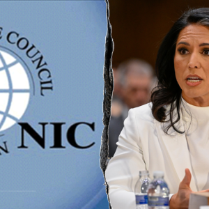 Gabbard fires ‘deep state’ heads of National Intelligence Council to root out ‘politicization of intel’