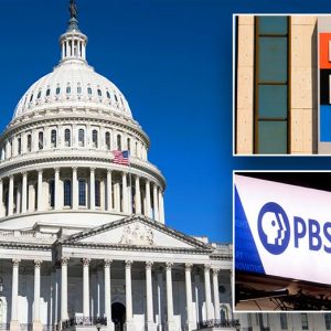 ‘Liberal propaganda’ media outlet could see taxpayer funding slashed if GOP efforts succeed