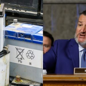 Cruz spearheads effort to derail nuclear waste dumping in oil-rich area of Texas