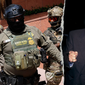 Union boss compares ICE to Al Pacino mobster as more Dems pile on immigration enforcement