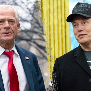 Donald Trump’s allies, supporters and donors, led by Elon Musk, push to end tariff war