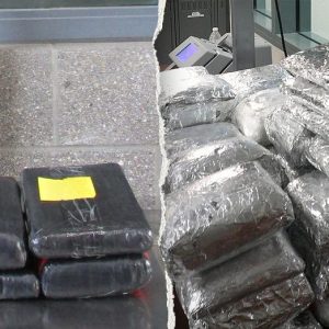 Massive Mexico-California border busts uncover eye-popping amount of drugs: ‘Remain vigilant’